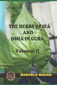 Herbs of Ifa and OSHA in Cuba II