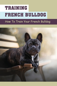 Training French Bulldog