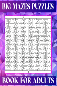 Big Mazes Puzzles Book For Adults: 200 Mazes in Variety of puzzle styles Challenging with Hard Mazes Puzzles Book for Adults.