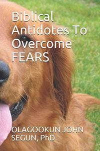Biblical Antidotes To Overcome Fears