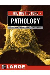 Pathology: The Big Picture