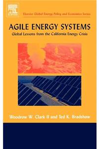 Agile Energy Systems