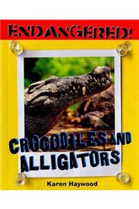 Crocodiles and Alligators