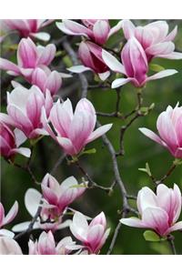 Magnolia Gardening Journal