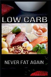 Low Carb Never Fat Again