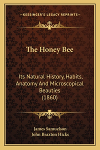 Honey Bee