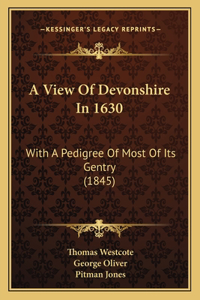 A View Of Devonshire In 1630