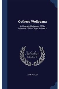 Ootheca Wolleyana