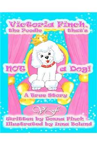 Victoria Finch, the Poodle that's Not a Dog!!