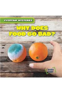 Why Does Food Go Bad?