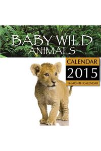 Baby Wild Animals Calendar 2015