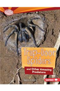 Trap-Door Spiders and Other Amazing Predators