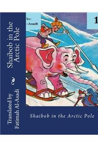 Shaibob in the Arctic Pole