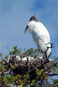 Awesome Wood Stork with Eggs in her Nest Bird Journal: 150 Page Lined Notebook/Diary