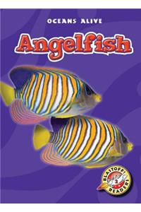 Angelfish