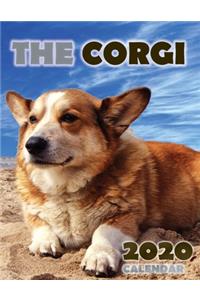 The Corgi 2020 Calendar