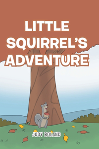 Little Squirrel's Adventure