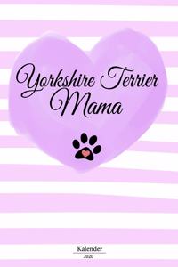 Yorkshire Terrier Kalender 2020