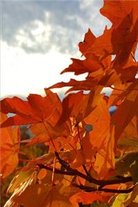 Fall Colors 2020 Weekly Planner Orange Leaves Mountain Sunrise 134 Pages