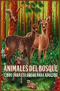 Animales Del Bosque