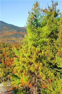 2019 Weekly Planner Mountain Ledge Autumn View 134 Pages