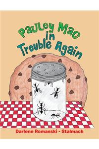 Pauley Mac in Trouble Again