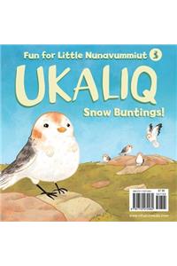 Ukaliq: Snow Buntings!