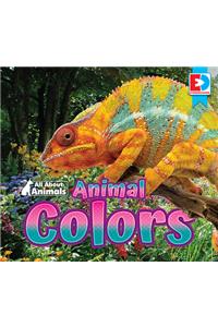 All about Animals - Animal Colors