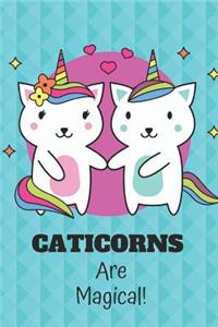 Cute Caticorn Journal Notebook