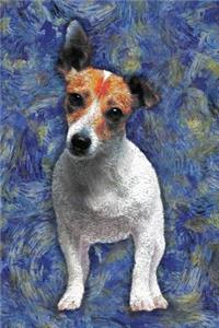 Jack Russell Terrier