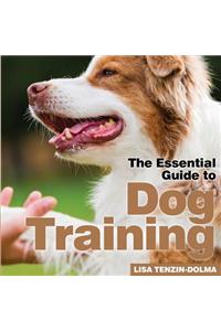 Dog Training