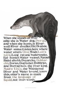 Jackie Morris Poster: Names of the Otter, The