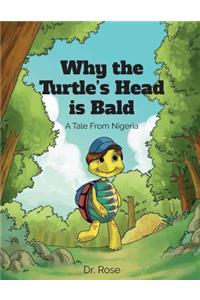 Why the Turtle's Head is Bald