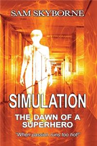 Simulation
