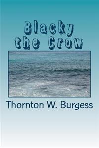 Blacky the Crow