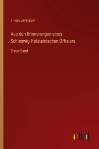 Aus den Erinnerungen eines Schleswig-Holsteinischen Offiziers