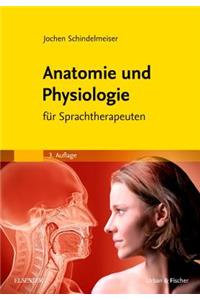 Anatomie Und Physiologie