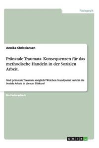 Pränatale Traumata. Konsequenzen für das methodische Handeln in der Sozialen Arbeit.
