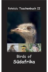 Birds of Südafrika