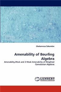 Amenability of Beurling Algebra