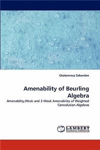 Amenability of Beurling Algebra