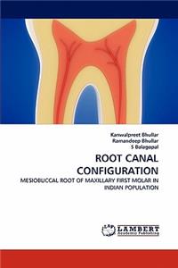 Root Canal Configuration