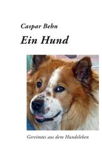 Hund