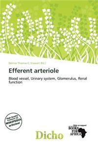 Efferent Arteriole