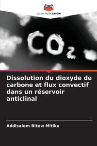 Dissolution du dioxyde de carbone et flux convectif dans un réservoir anticlinal