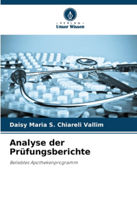 Analyse der Prüfungsberichte