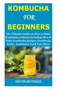 Kombucha for Beginners