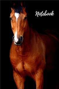 Horse Notebook (Diary, Journal)