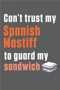 Can't trust my Spanish Mastiff to guard my sandwich