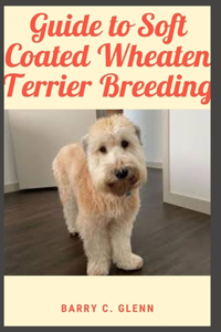Guide to Soft Coated Wheaten Terrier Breeding For Novice